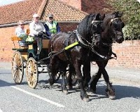 Blakewell Horse Drawn Wedding Carriage Hire 1067336 Image 2